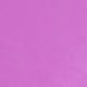Lilac Purple