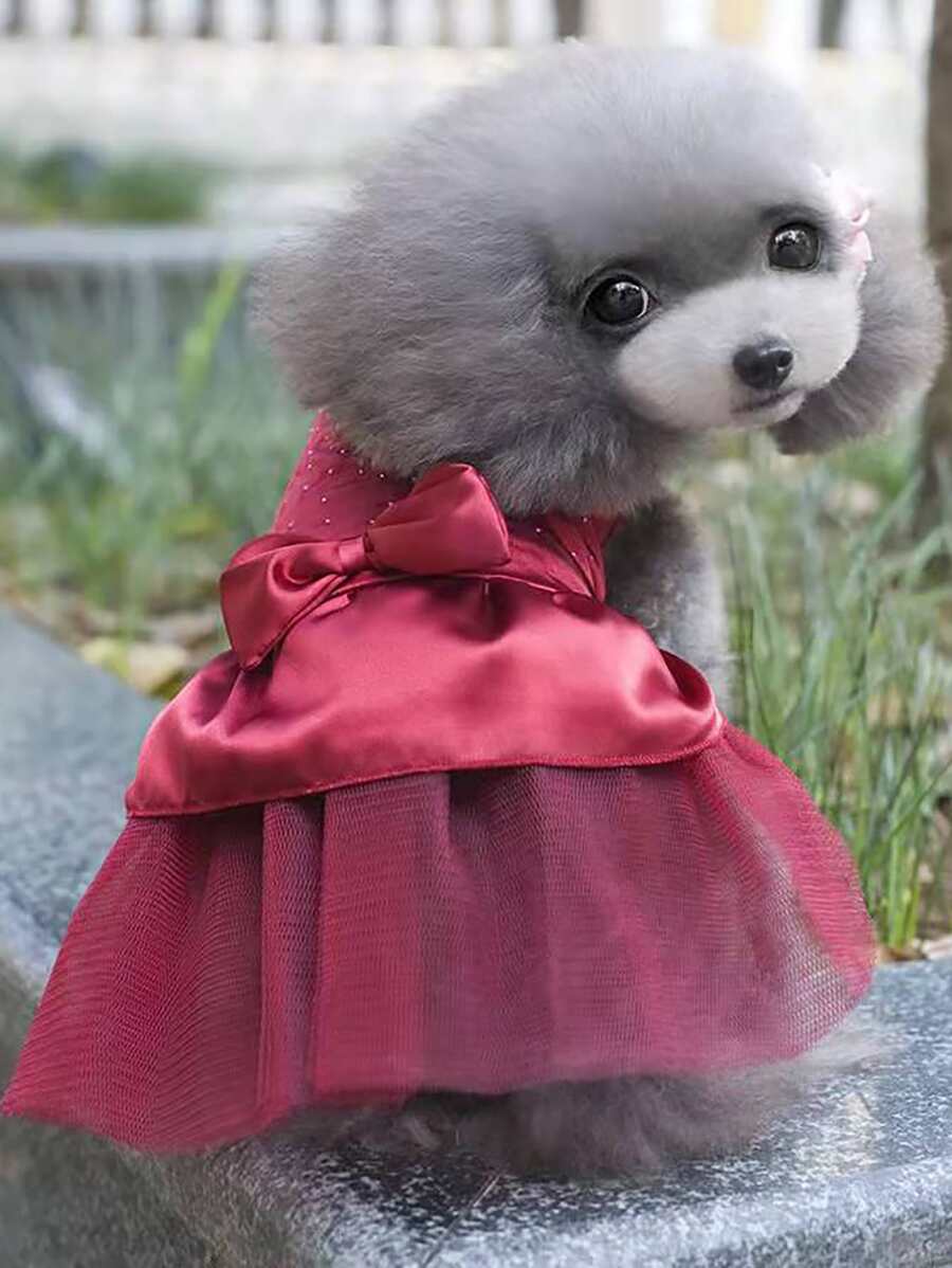1入組水鑽蝴蝶結裝飾寵物連衣裙 - 酒紅色 - 查看 1