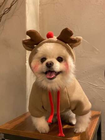 Deer Design Pet Hoodie