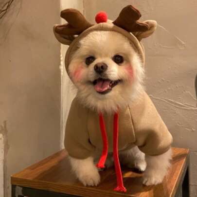 小鹿設計寵物連帽衫