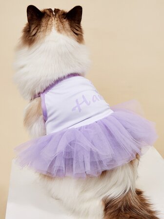 Letter Graphic Lace Pet Dress