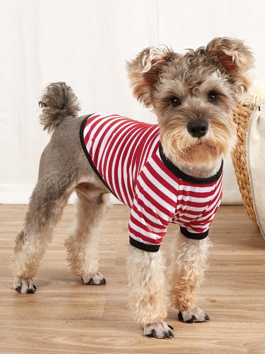 條紋圖案寵物T恤 - 紅白色 - 查看 1