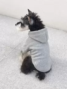 Plain Pet Hoodie - Grey - View 1