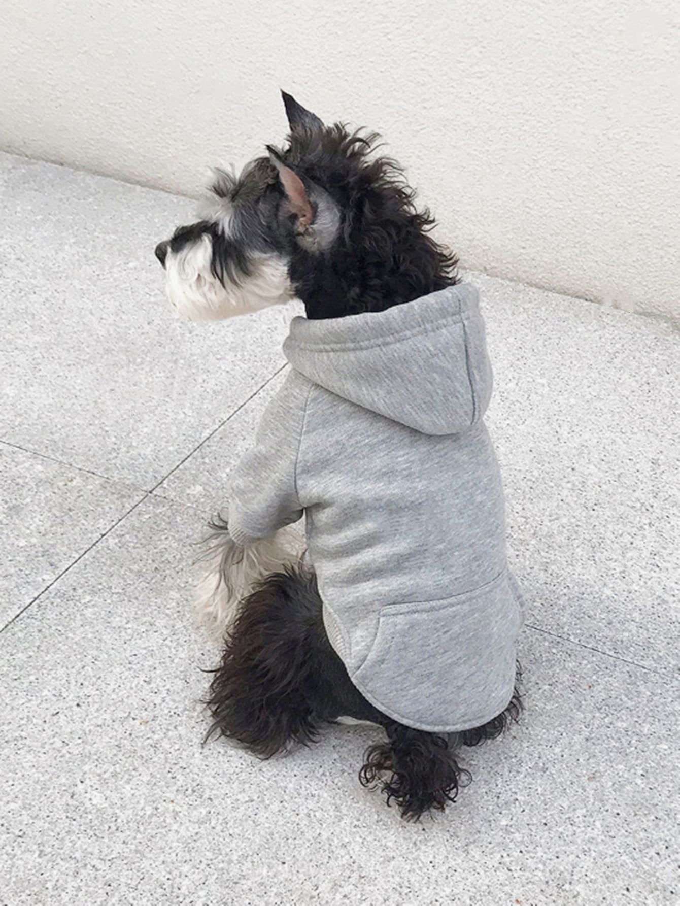Plain Pet Hoodie - Grey - View 1