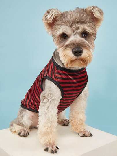 1 pezzo canotta righe animale domestico