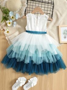 SHEIN Toddler Girls Colourblock Mesh Layered Hem Dress - Blue and White - View 2