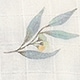 Nhiều màu