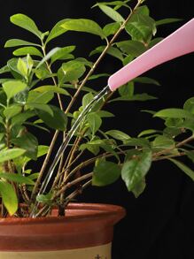 1pc PP Watering Bottle, Minimalist Pink Watering Can For Plant - Pink - View 2