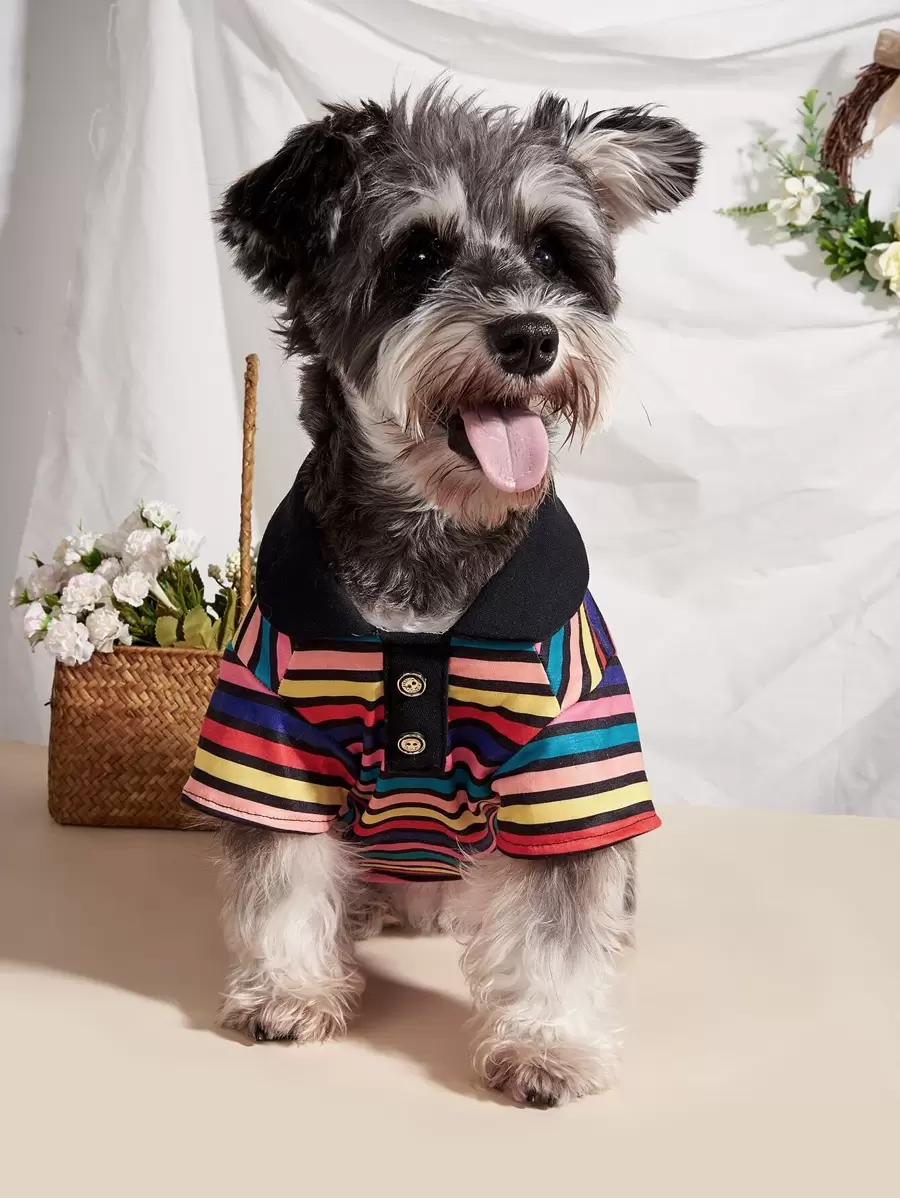 Striped Pet Polo Shirt - Multicolor - View 1
