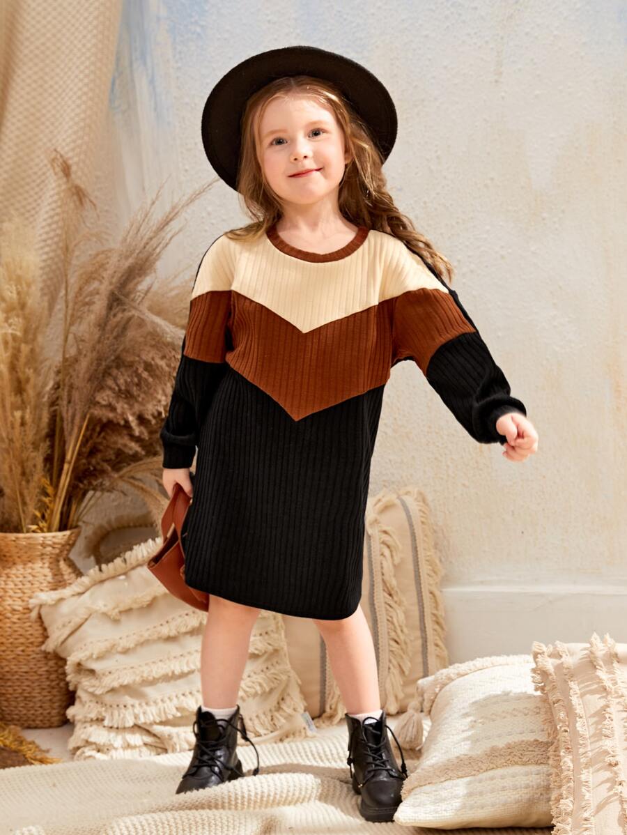 SHEIN Niñitas Vestido estilo camiseta de color combinado tejido de canalé - Multicolor - Ver 1