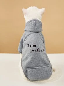 Slogan Graphic Pet Hoodie - Grey - View 1