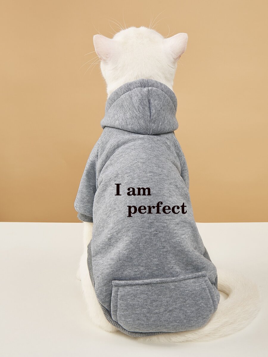 Slogan Graphic Pet Hoodie - Grey - View 1