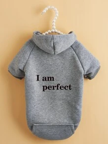 Slogan Graphic Pet Hoodie - Grey - View 2