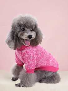 Bluza z napisem, 1 szt