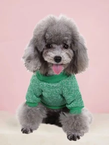 1件軟厚保暖綠色小毛衣,適用於貓、泰迪、狗等寵物 - 綠色 - 查看 4