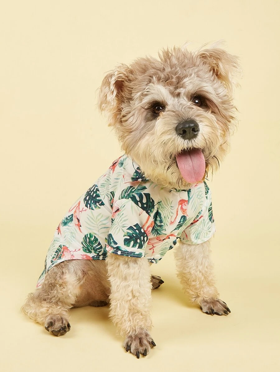 1入組火烈鳥圖案寵物襯衫 - 彩色 - 查看 1