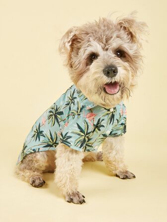 夏威夷沙灘度假款兩腳掛鈕扣寵物襯衫,適用於春夏秋季的貓狗襯衫,附有領子