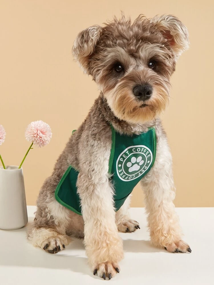 1pc Letter Graphic Pet Apron Halloween Halloween Costumes
