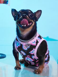 PETSIN Bể nuôi thú cưng hình trái tim Y2K - Nhiều màu - Xem 4