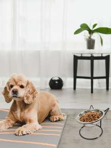 1 pieza Estante de bol para mascotas con diseño de gato de dibujos animados & 1 pieza Bol para mascotas - Plateado - Ver 7