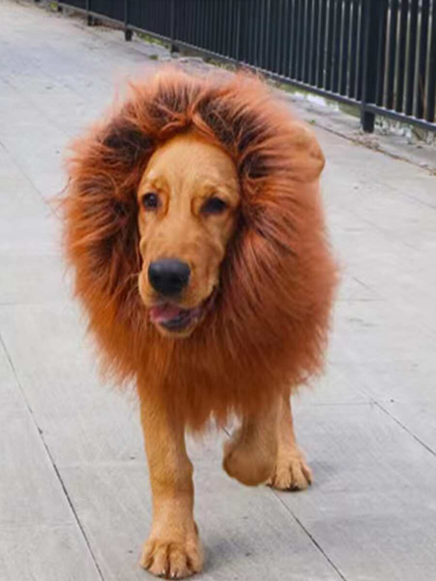 1pc Pet Headwear - Brown - View 1