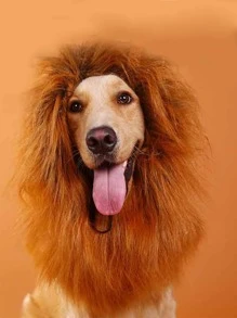 1pc Pet Headwear - Brown - View 2