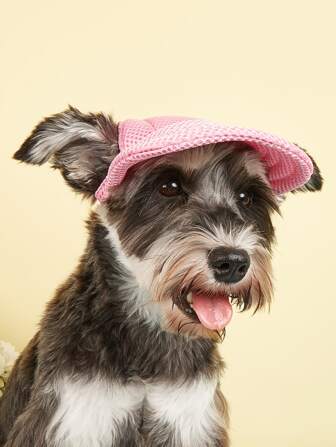 寵物帽子,有耳洞和遮陽板,夏天可以為狗和貓提供防曬