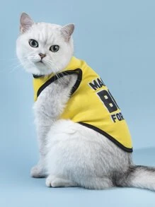 字母圖案寵物背心 - 彩色 - 查看 2