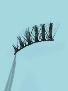 Himirell 5 对猫眼效果黑色带自然交叉浓密假睫毛，增大眼睛尺寸，非常适合日常化妆和约会条状睫毛，睫毛，睫毛，假睫毛 - 黑色 - 查看 5