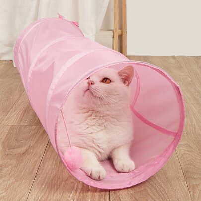 Solid Cat Tunnel