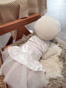 1 cái nơ tô điểm cho thú cưng ăn mặc - trắng - Xem 2