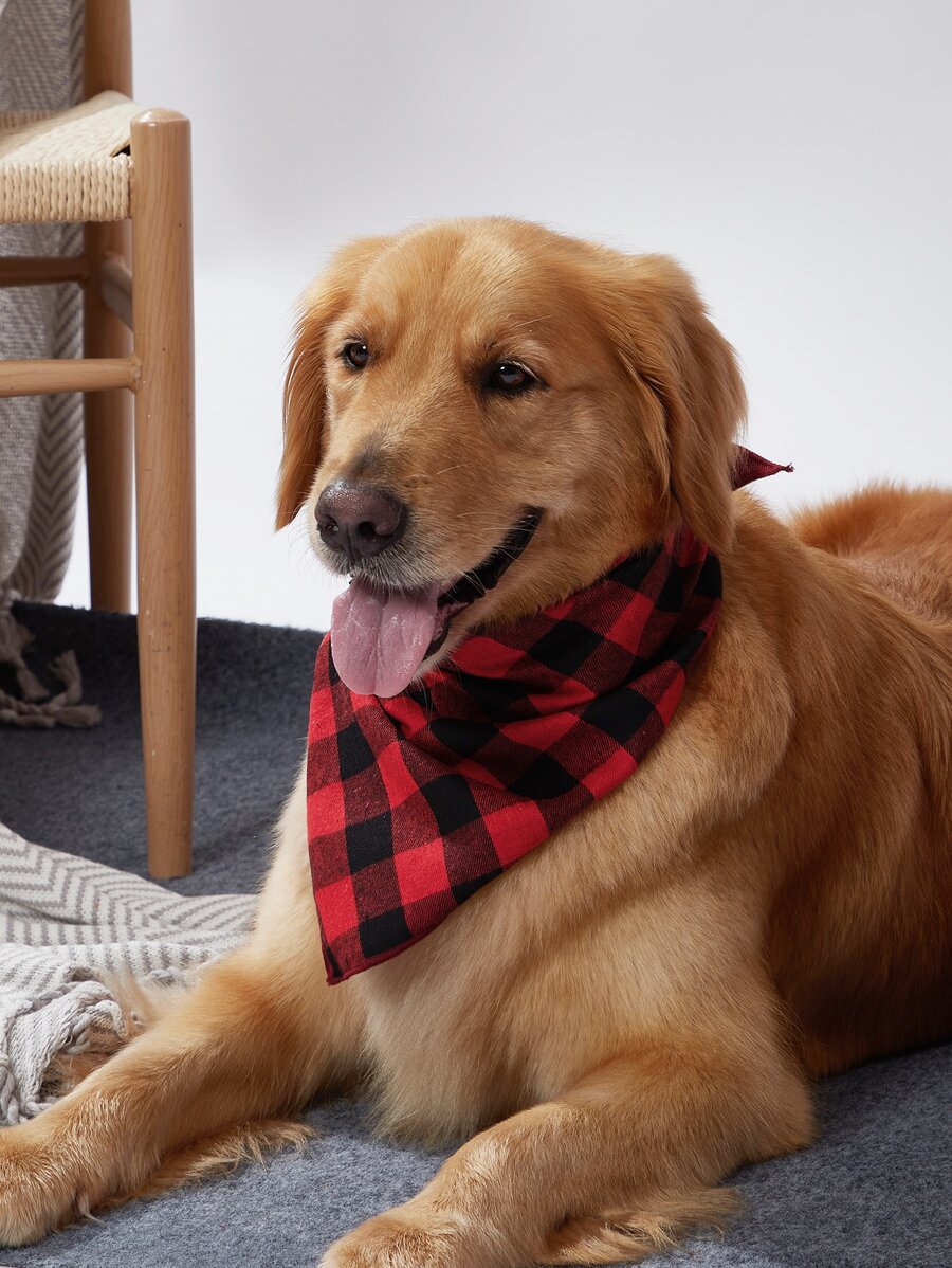 Plaid Print Pet Bandana