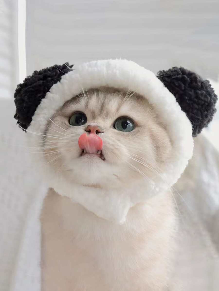 Bear Design Pet Hat - Black and White - View 1