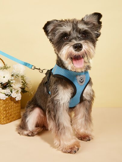 1入組透氣寵物背帶&1条皮带