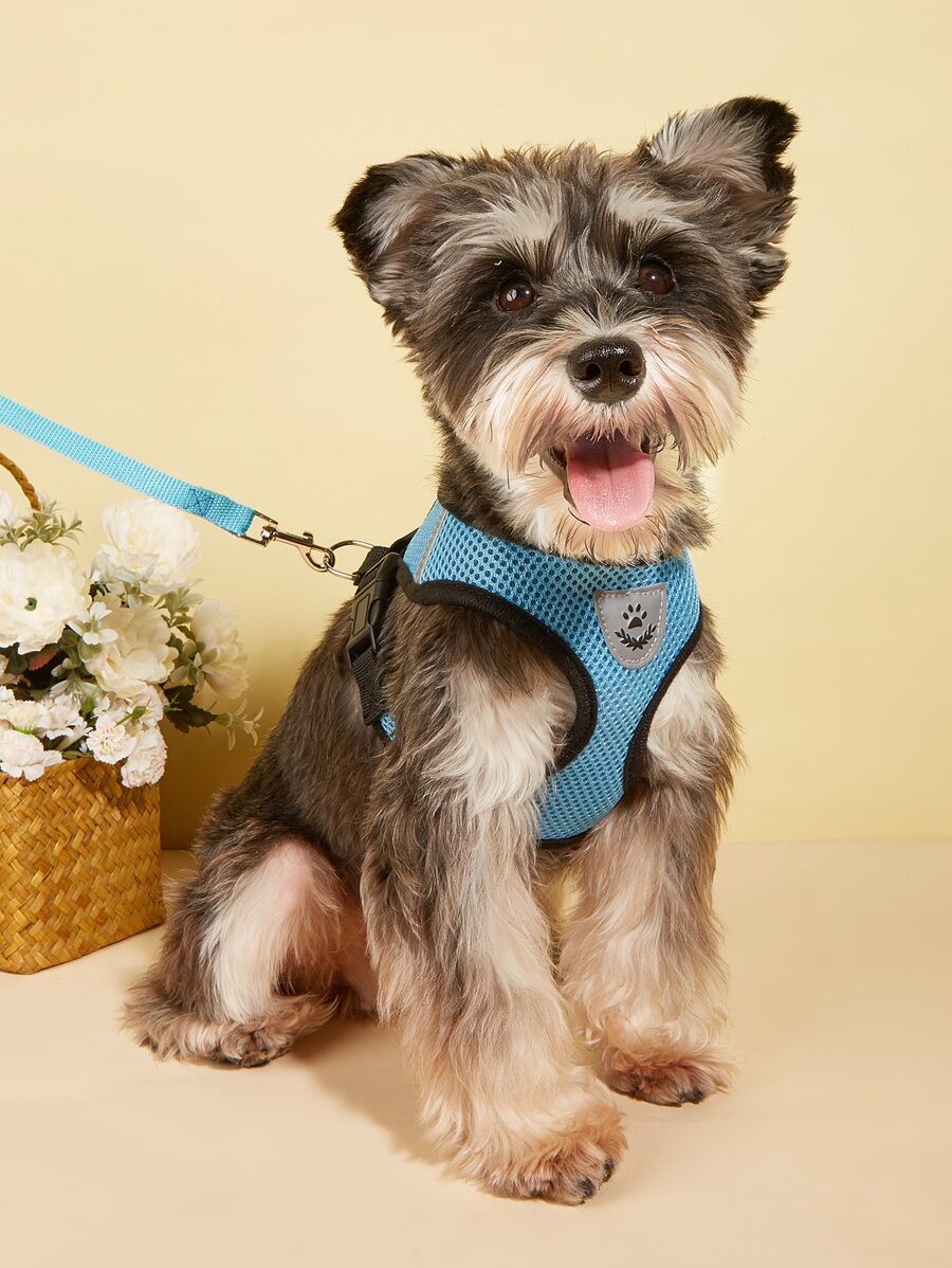 1入組透氣寵物背帶&1条皮带 - 藍色 - 查看 1