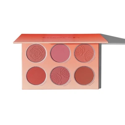 SHEGLAM Floral Flush Blush Palette 6-Color Pressed Powder Blush Palette High Pigment Non-Fading Long Lasting Natural Matte Lightweight Blusher Pink Blush Brand Beauty Makeup Face Paint Cosmetic For Women Girls Perfect For Spring Summer Ideal For Y2K Fancy Fashion Suitable For Birthday Mother'S Day Gift Rave Party Ready Best Color