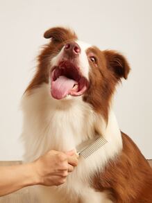 1 pieza Peine para mascota - Multicolor - Ver 2