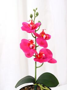 1 件/5 件人造优雅 3D 印花蝴蝶兰花家居装饰逼真假花，永不变形，可清洗，适用于婚礼、展厅装饰 - 彩色 - 查看 6