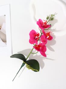 1 件/5 件人造优雅 3D 印花蝴蝶兰花家居装饰逼真假花，永不变形，可清洗，适用于婚礼、展厅装饰 - 彩色 - 查看 5