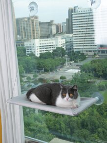 1pc Cat Hammock, Suitable For All Seasons, For Cats - Grey - View 4