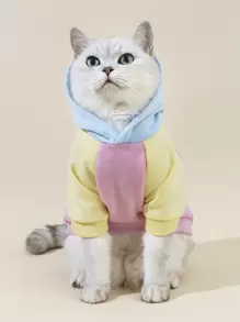 PETSIN 适合小狗的彩色宠物连帽衫 - 适合小狗的鲜艳多色连帽衫；让小狗在秋季和早春郊游、家庭聚会、小狗公园旅行和旅行期间保持温暖。 - 彩色 - 查看 6