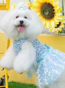 蝴蝶结装饰宠物礼服，适合小型犬参加婚礼、生日和派对。