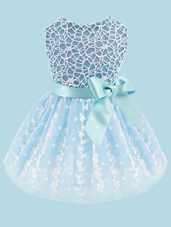 1件梦幻蕾丝宠物连衣裙，猫狗公主风连衣裙，狗狗连衣裙