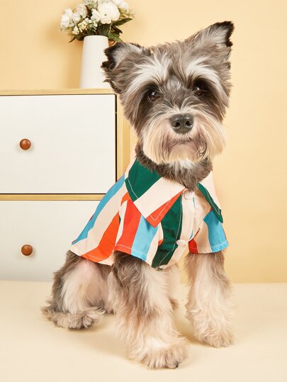 1pc Cat & Dog Colorful Striped Shirt, Fashionable Pet Apparel For Spring & Summer, Ins Style