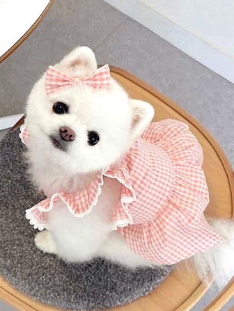 1入組格紋印花寵物連衣裙