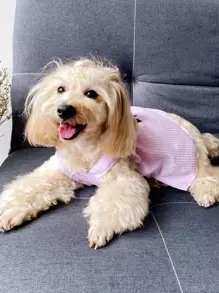 1pc Striped Print Bow Decor Pet Dress - Multicolor - View 5