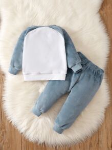 Bebé niño Sudadera dinosaurio con parche de color combinado de manga raglán teddy con Pantalones