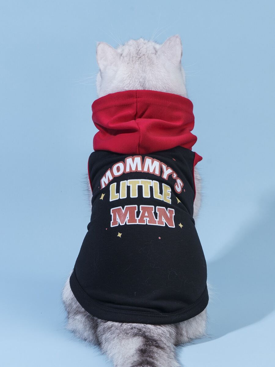 PETSIN Letter Graphic Pet Tank For Puppies - Comfortable Sleeveless Tank For Puppies; Suitable For Spring And Summer Outings, Puppy Training, Indoor Play Sessions, Sunny Walks, And Birthdays.