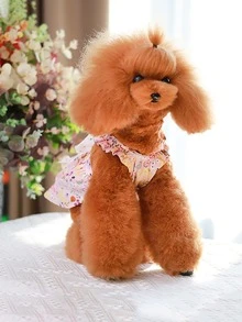 1pc Floral Print Pet Dress - Multicolor - View 4