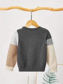 SHEIN Toddler Boys Colourblock Round Neck Jumper - Multicolor - View 2